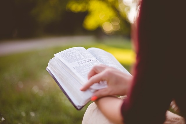 women studying the Bible