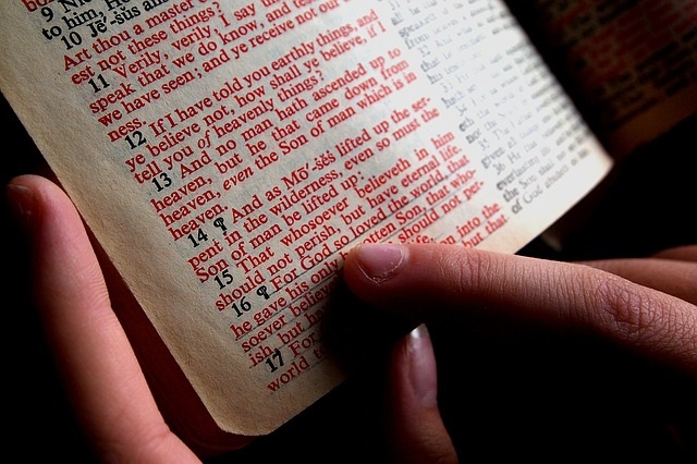 Woman reading the Bible during her quiet time.