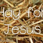 hay for Jesus