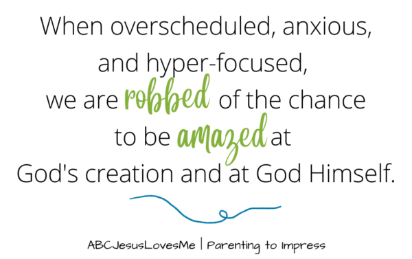 When overscheduled, anxious, and hyper-focused, we are robbed of the chance to be amazed at God's creation and at God Himself.