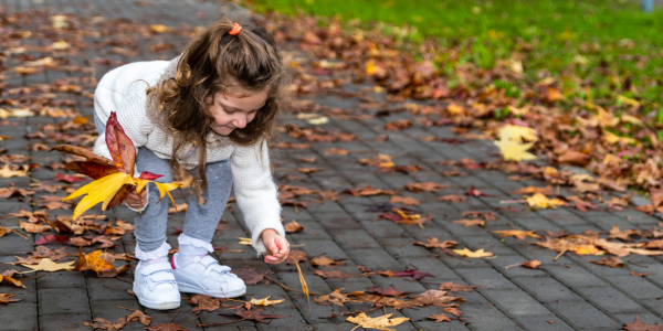 Child playing with fall leaves.