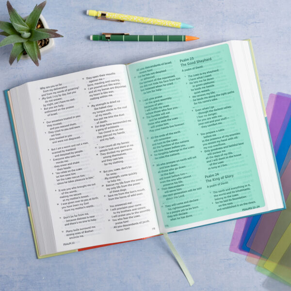 Grace Bible for Kids Dyslexia Bible