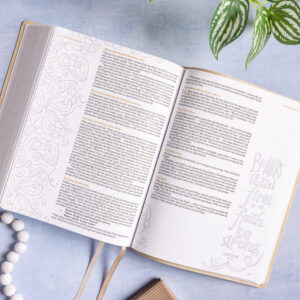 Illustrator's Notetaking Bible