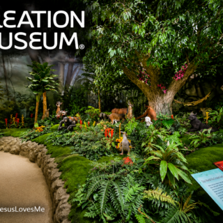 Creation Museum