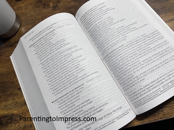 One Year Chronological Bible